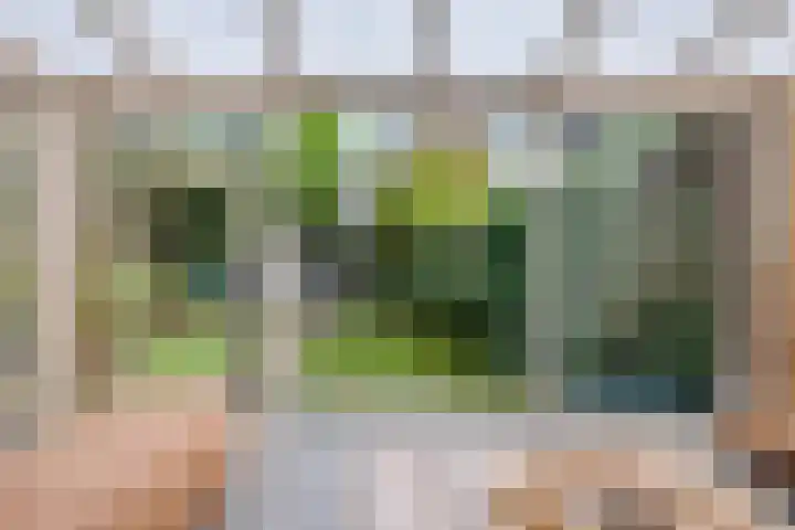 Laurastraat 13 Hengelo thumbnail 5