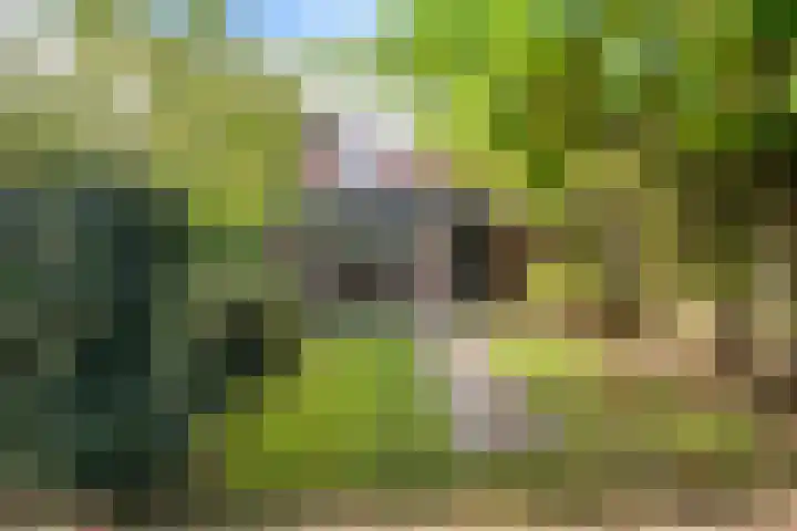 Laurastraat 13 Hengelo thumbnail 55