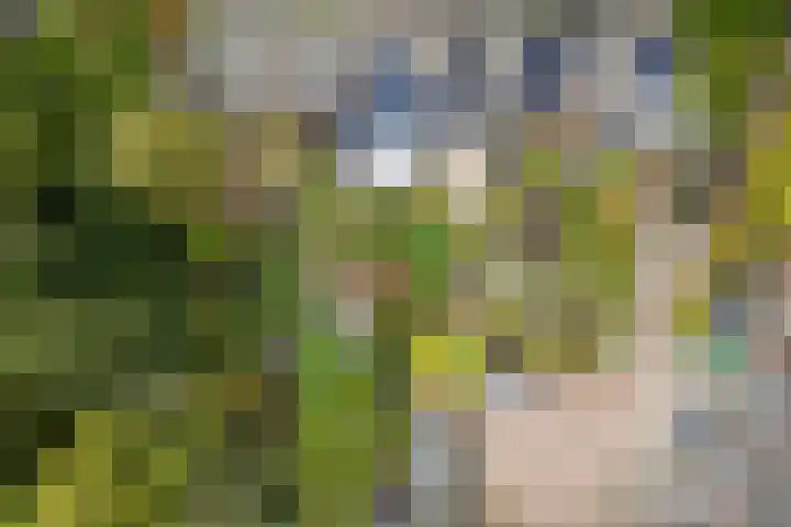 Laurastraat 13 Hengelo thumbnail 57