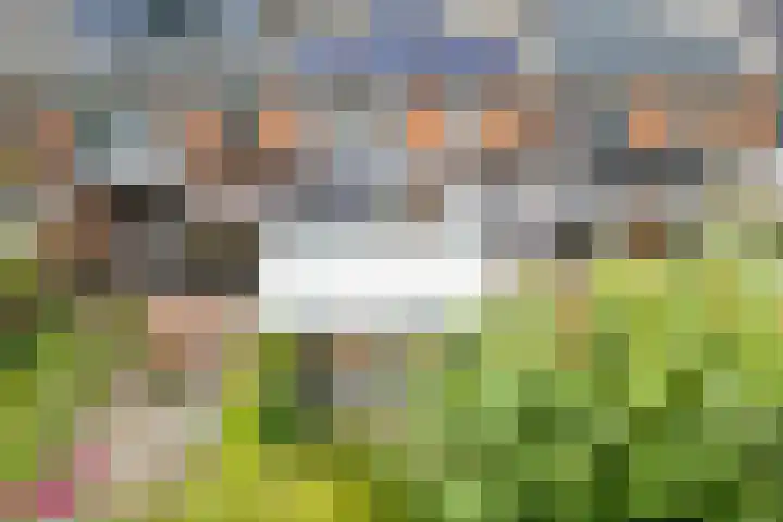 Laurastraat 13 Hengelo thumbnail 61