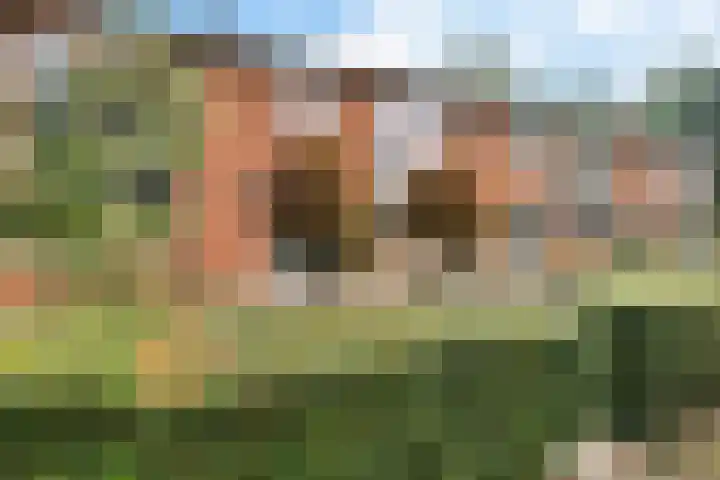 Laurastraat 13 Hengelo thumbnail 62