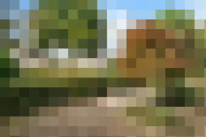 Laurastraat 13 Hengelo thumbnail 64