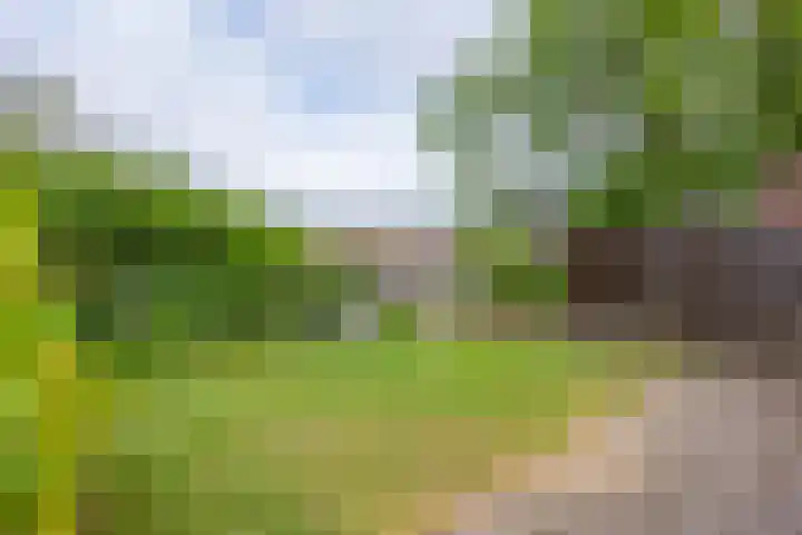 Laurastraat 36 Eygelshoven thumbnail 22