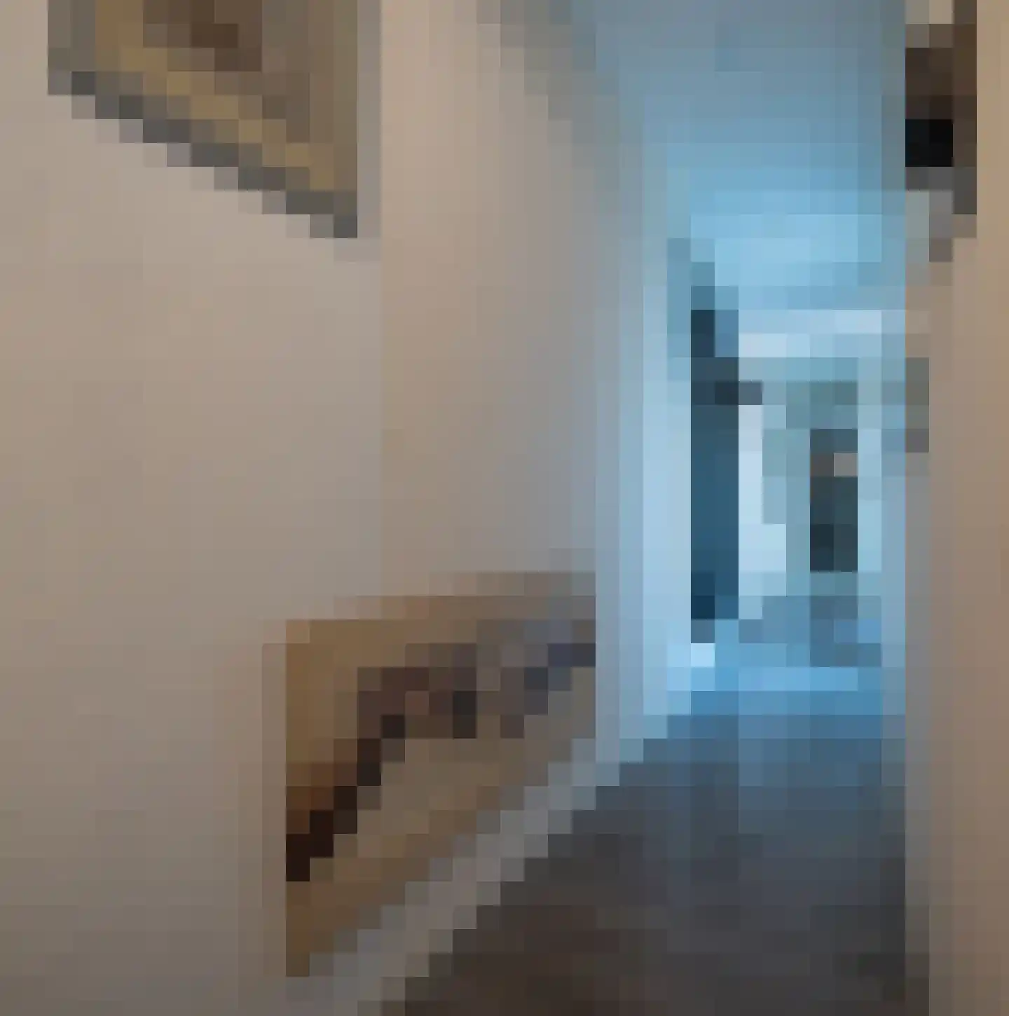 Laurastraat 42 Eygelshoven thumbnail 17