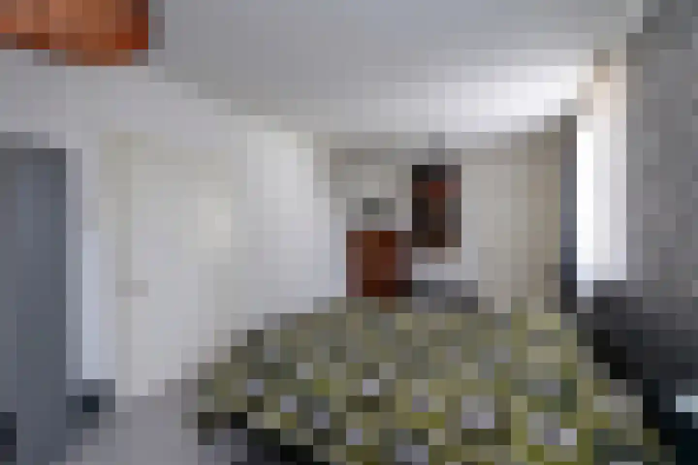 Laurastraat 42 Eygelshoven thumbnail 19