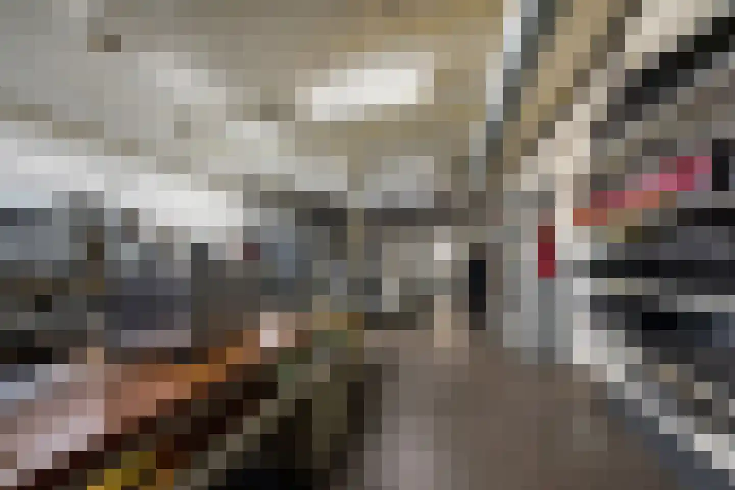 Laurastraat 42 Eygelshoven thumbnail 28