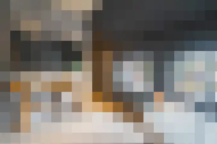 Laurastraat 62 Eygelshoven thumbnail 20