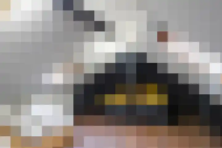 Laurastraat 62 Eygelshoven thumbnail 26