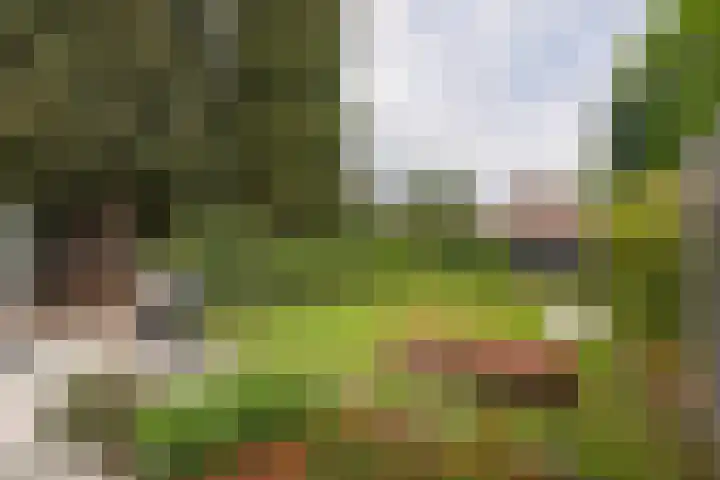 Laurastraat 62 Eygelshoven thumbnail 31