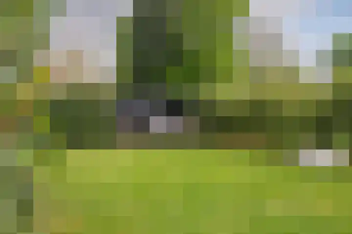 Laurastraat 62 Eygelshoven thumbnail 32
