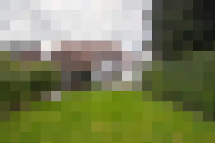 Laurastraat 62 Eygelshoven thumbnail 33