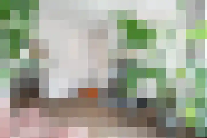 Laurastraat 62 Eygelshoven thumbnail 6