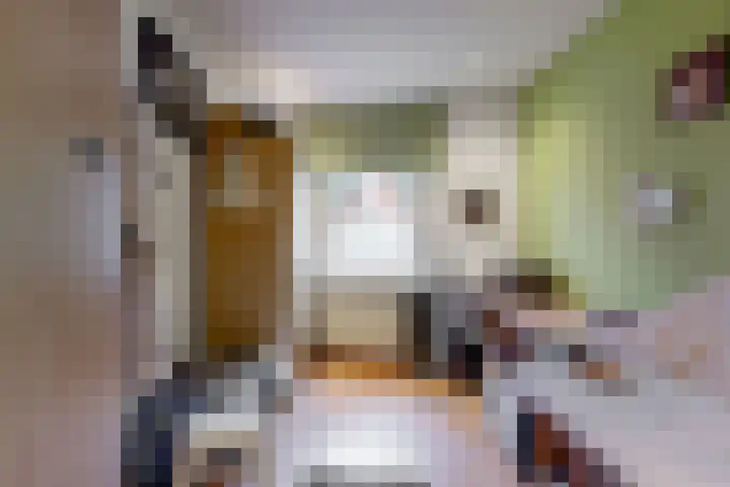 Laurastraat 89 Eygelshoven thumbnail 24