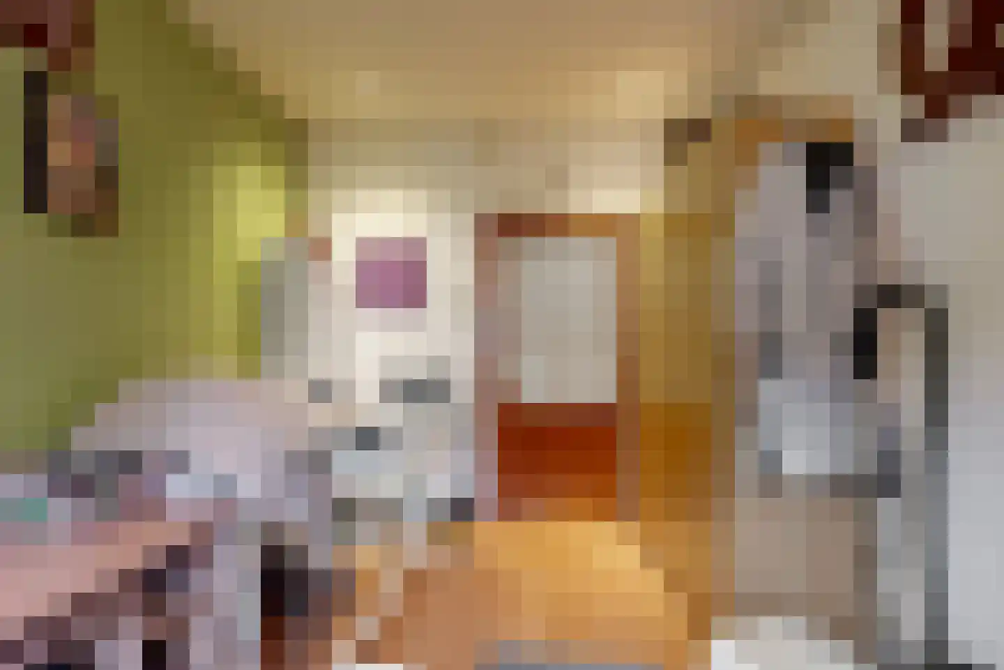 Laurastraat 89 Eygelshoven thumbnail 25