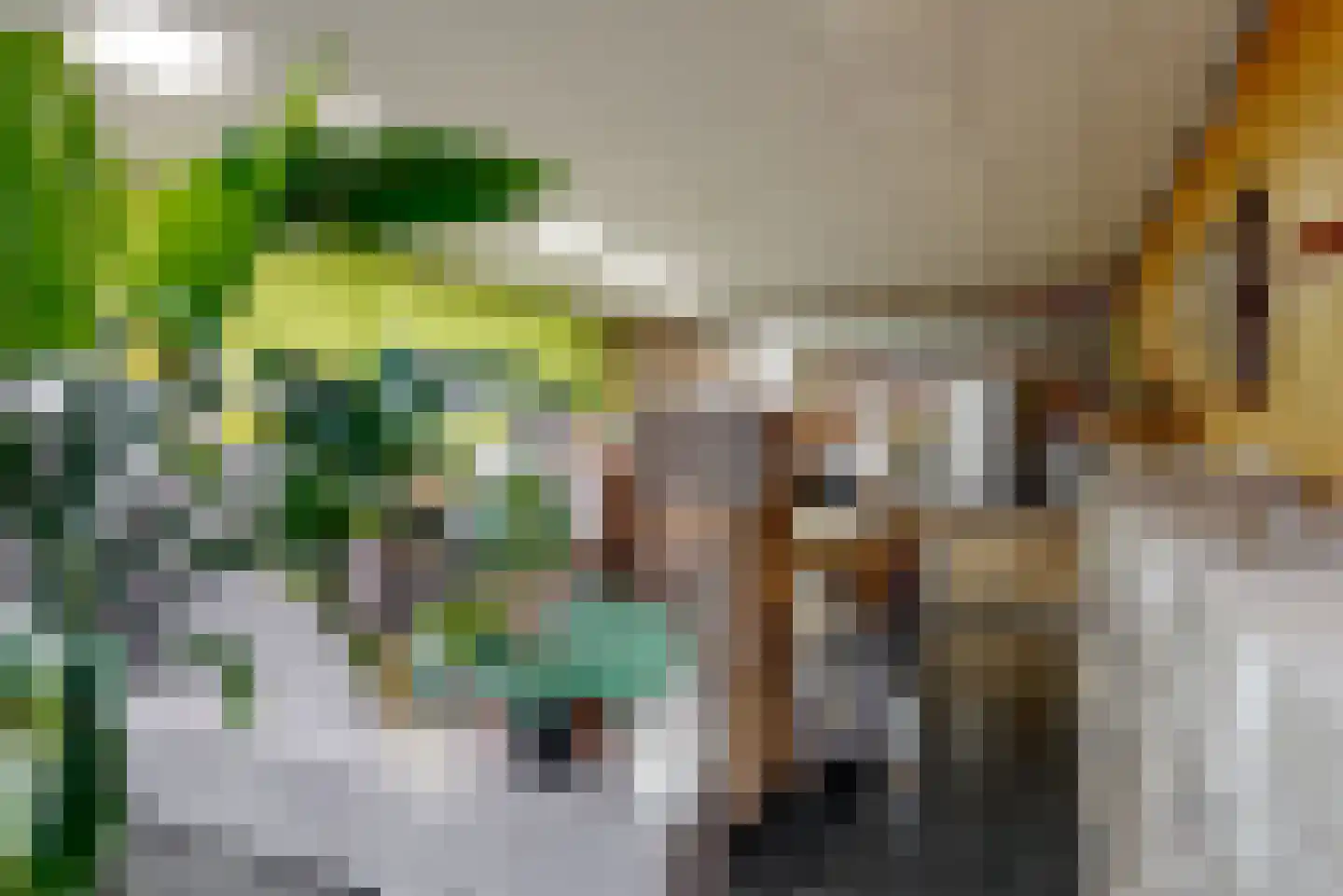 Laurastraat 89 Eygelshoven thumbnail 34
