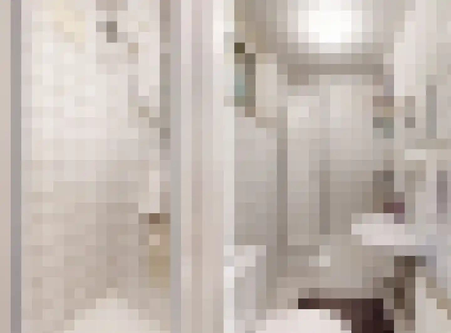 Laurastraat 89 Eygelshoven thumbnail 42