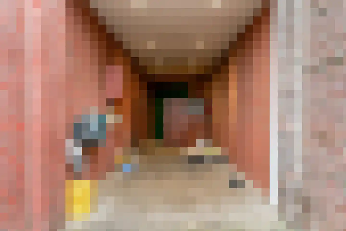 Laurastraat 89 Eygelshoven thumbnail 43