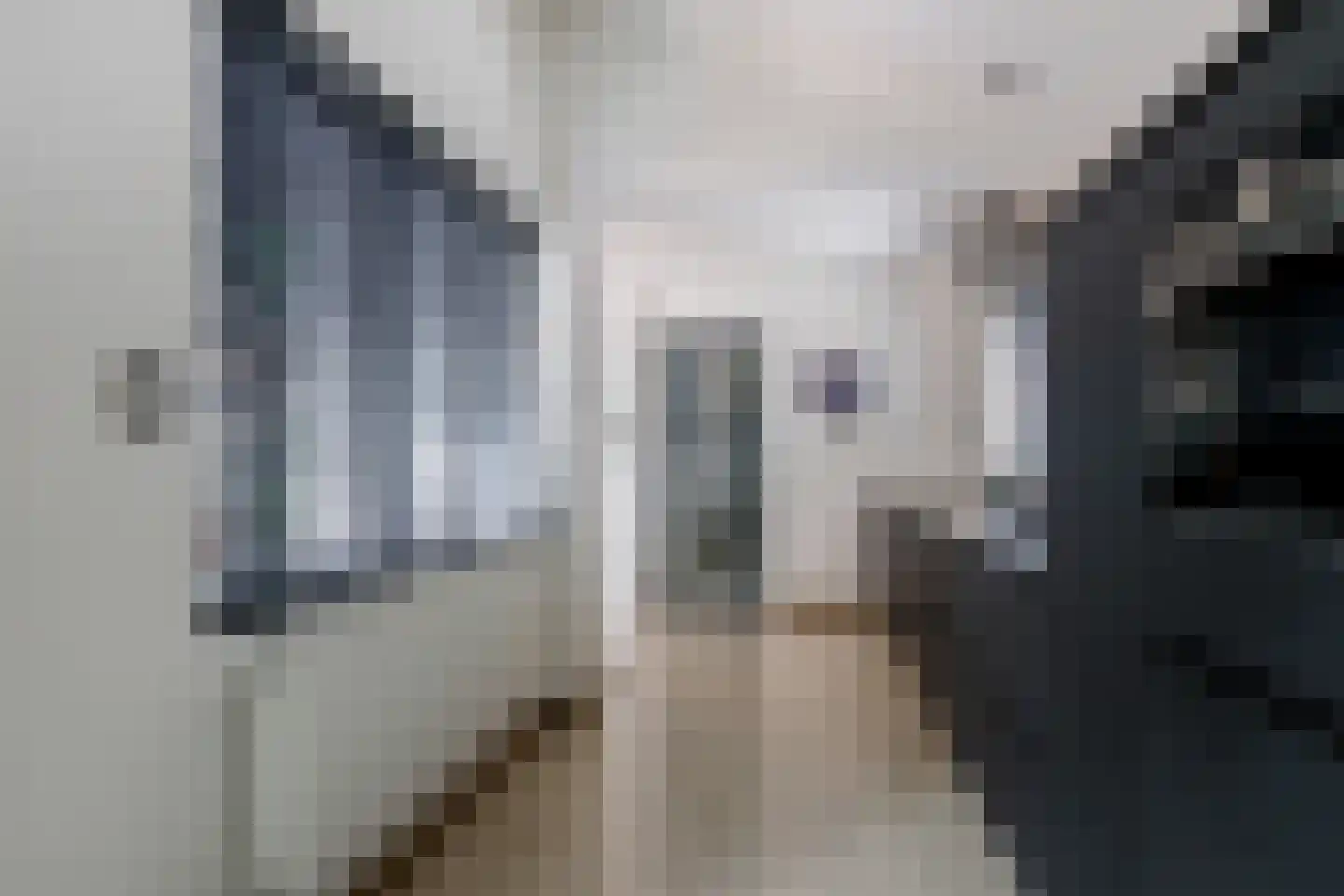 Laurastraat 97 Eygelshoven thumbnail 12