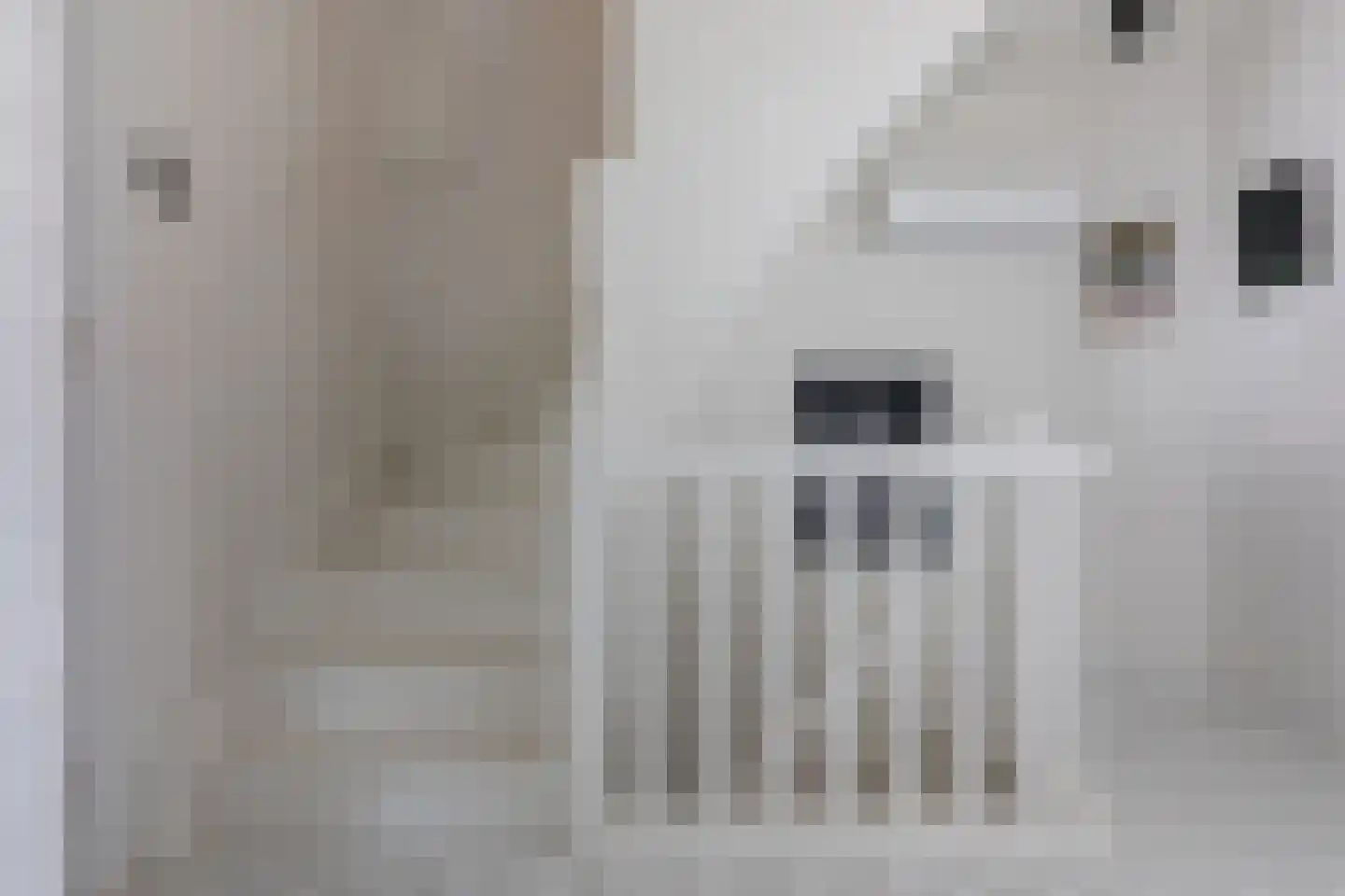 Laurastraat 97 Eygelshoven thumbnail 19