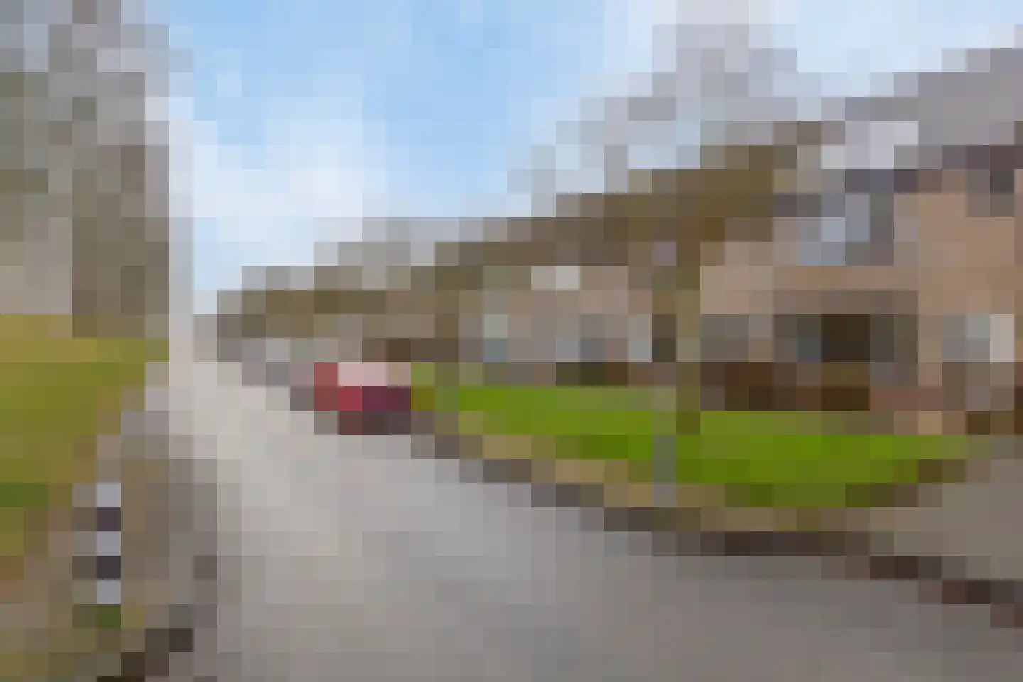 Laureijnestraat 52 Philippine thumbnail 30