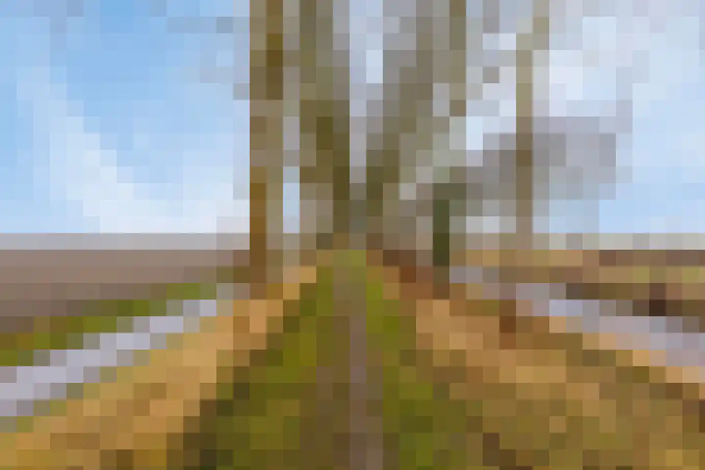 Laureijnestraat 52 Philippine thumbnail 31