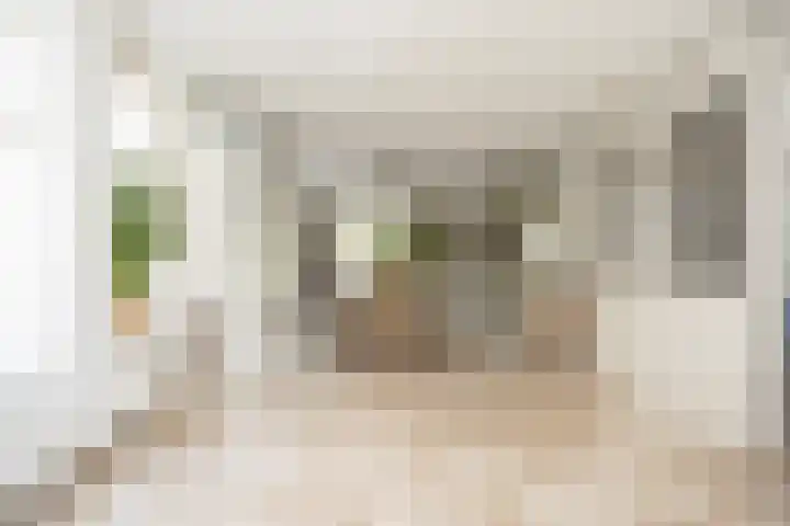 Laurenburg 24 Bleiswijk thumbnail 20
