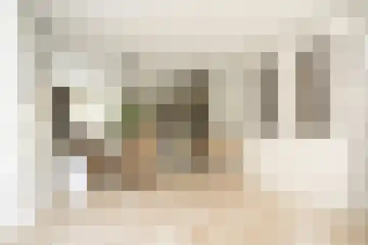 Laurenburg 24 Bleiswijk thumbnail 21