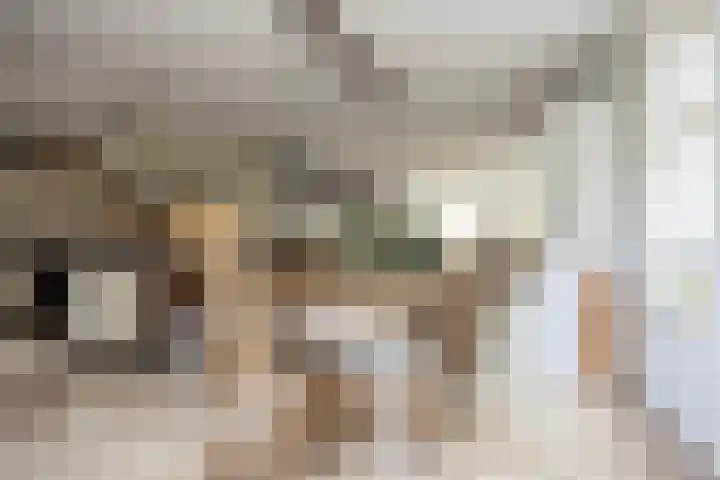 Laurenburg 24 Bleiswijk thumbnail 22