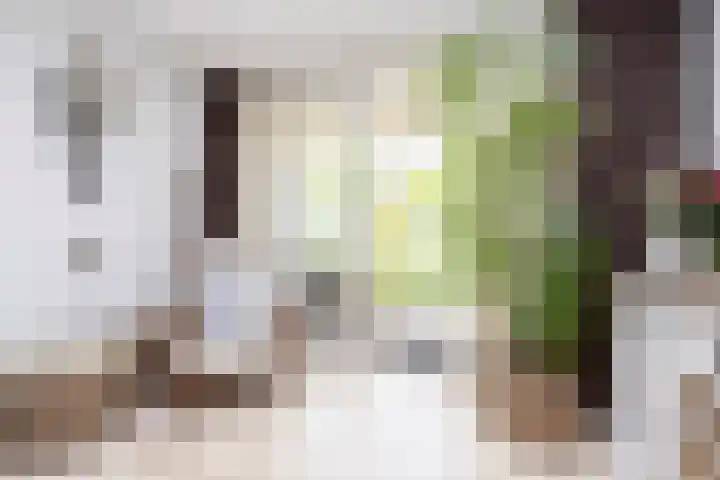 Laurenburg 24 Bleiswijk thumbnail 26