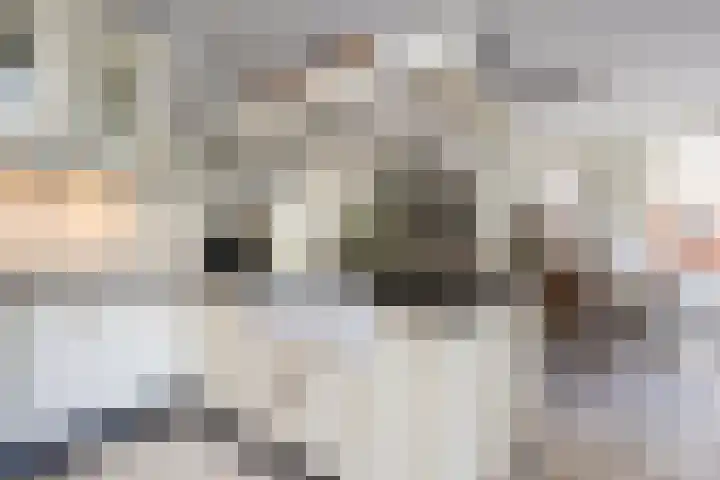 Laurenburg 24 Bleiswijk thumbnail 32