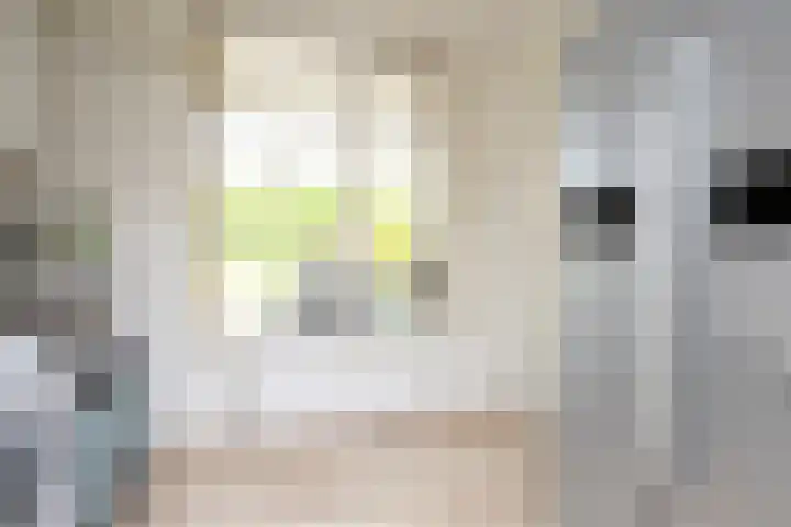 Laurenburg 24 Bleiswijk thumbnail 34