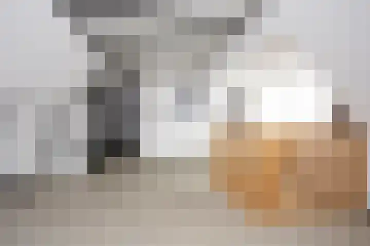 Laurenburg 24 Bleiswijk thumbnail 54