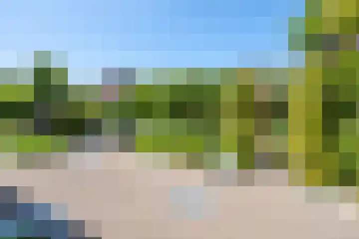 Laurenburg 24 Bleiswijk thumbnail 56