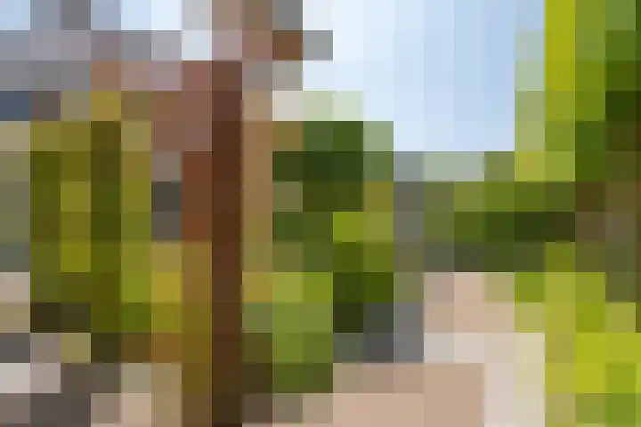 Laurenburg 24 Bleiswijk thumbnail 57