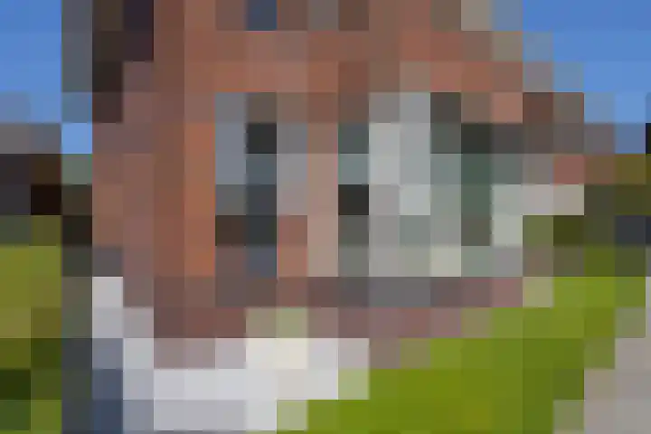 Laurenburg 24 Bleiswijk thumbnail 6