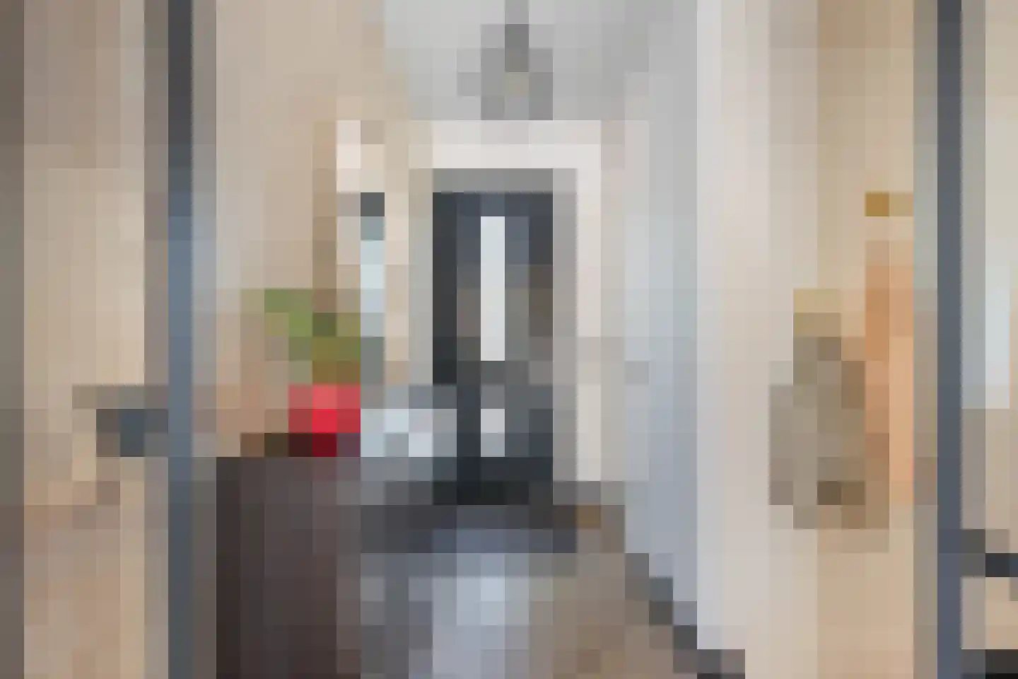 Laurenburg 48 Bleiswijk thumbnail 10