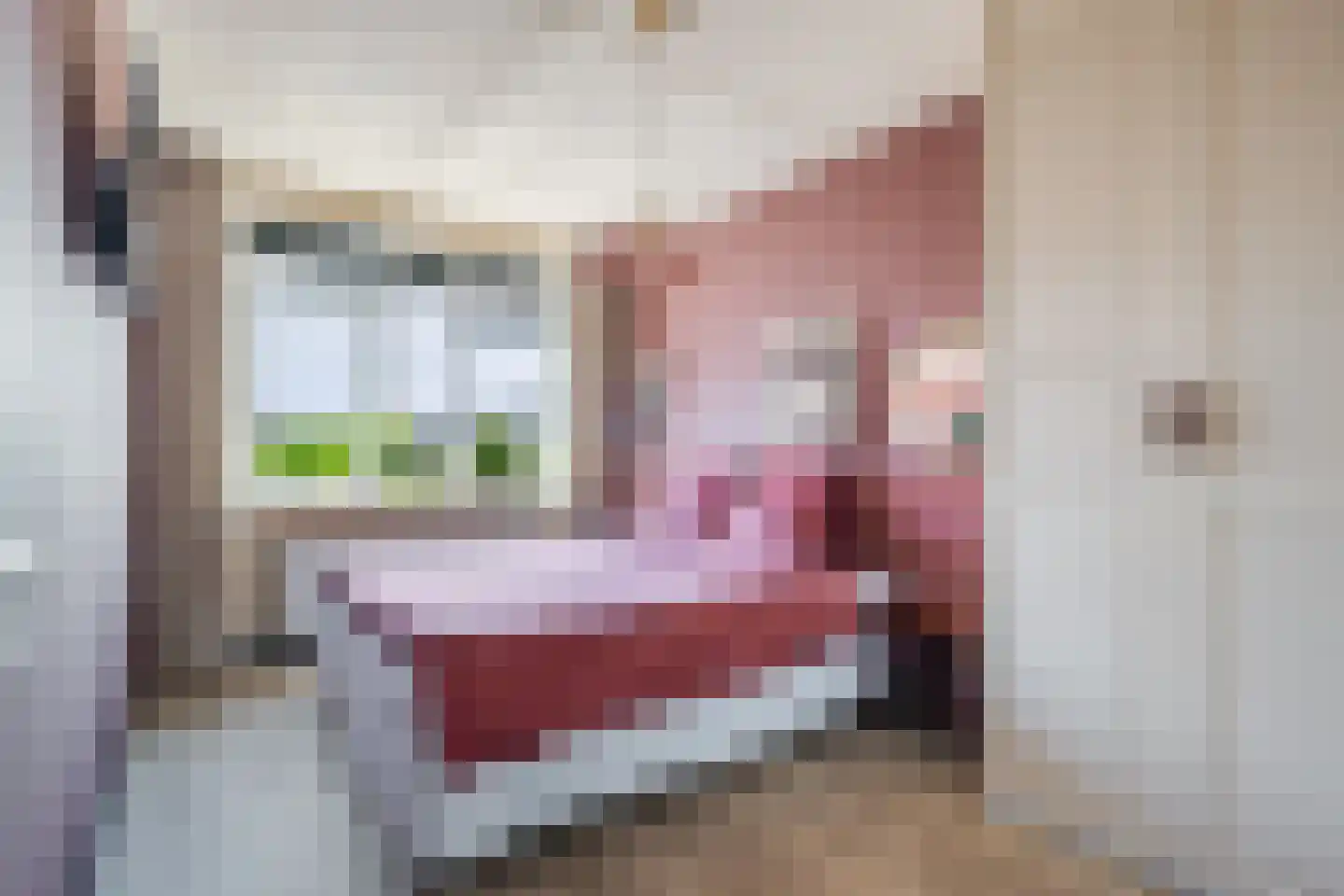 Laurenburg 48 Bleiswijk thumbnail 31