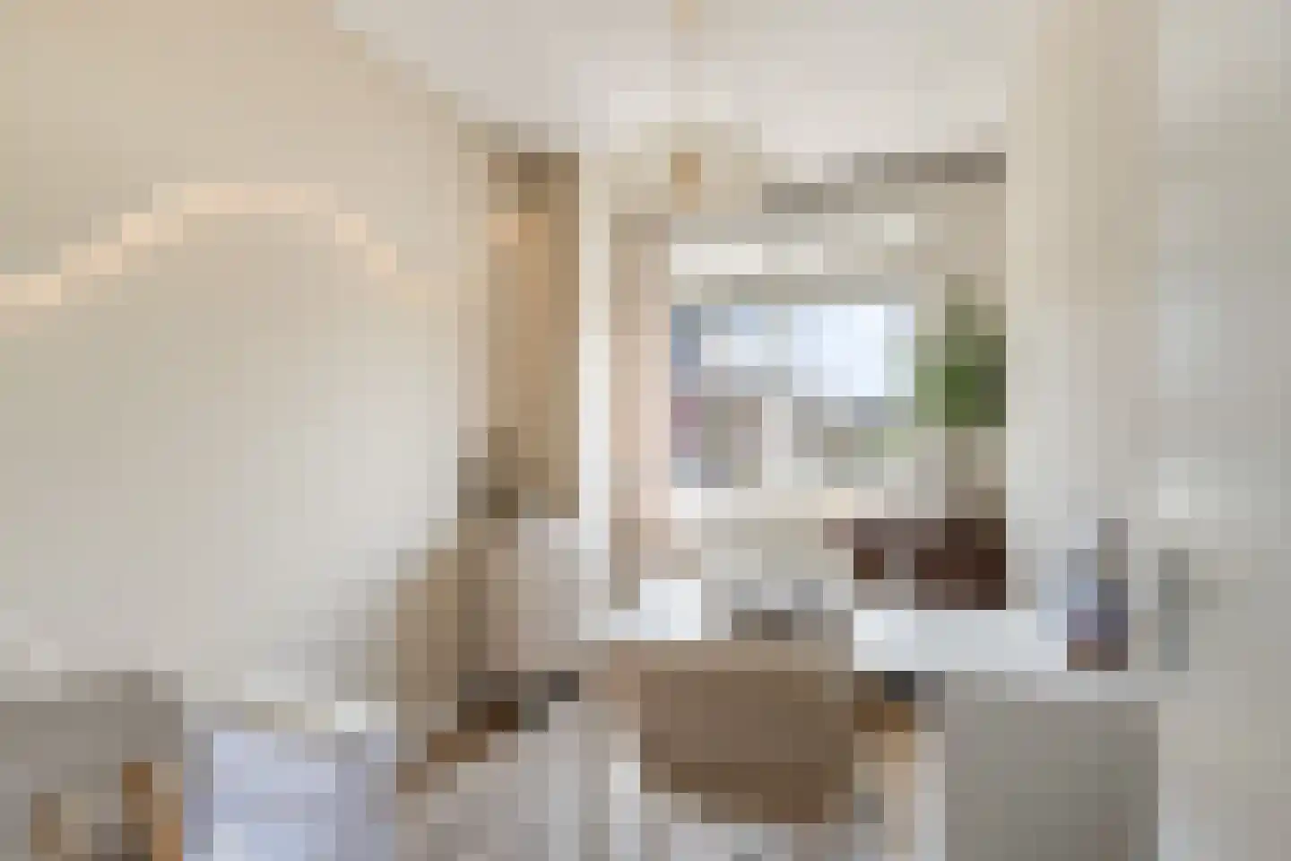 Laurenburg 48 Bleiswijk thumbnail 32