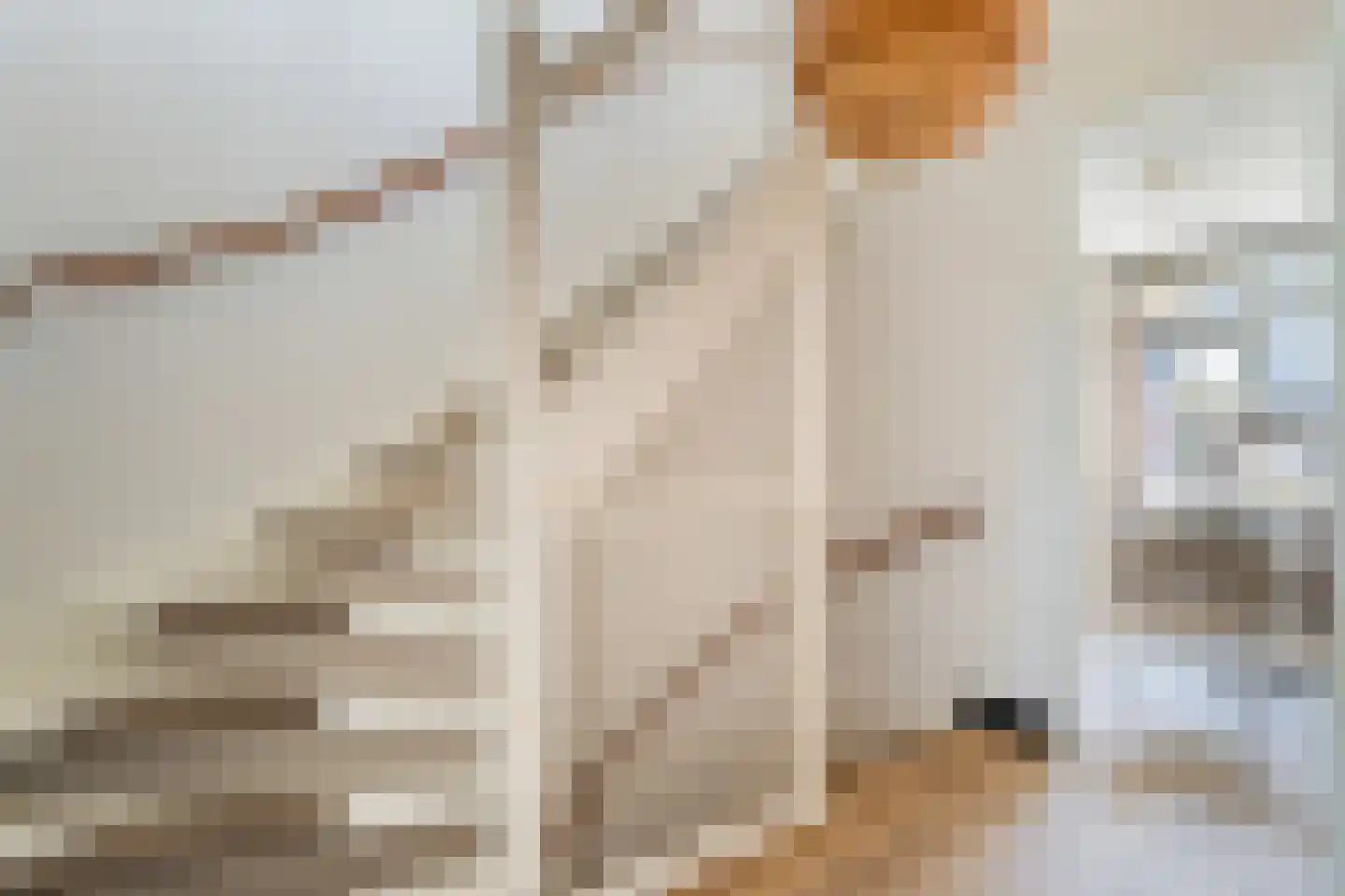 Laurenburg 48 Bleiswijk thumbnail 41