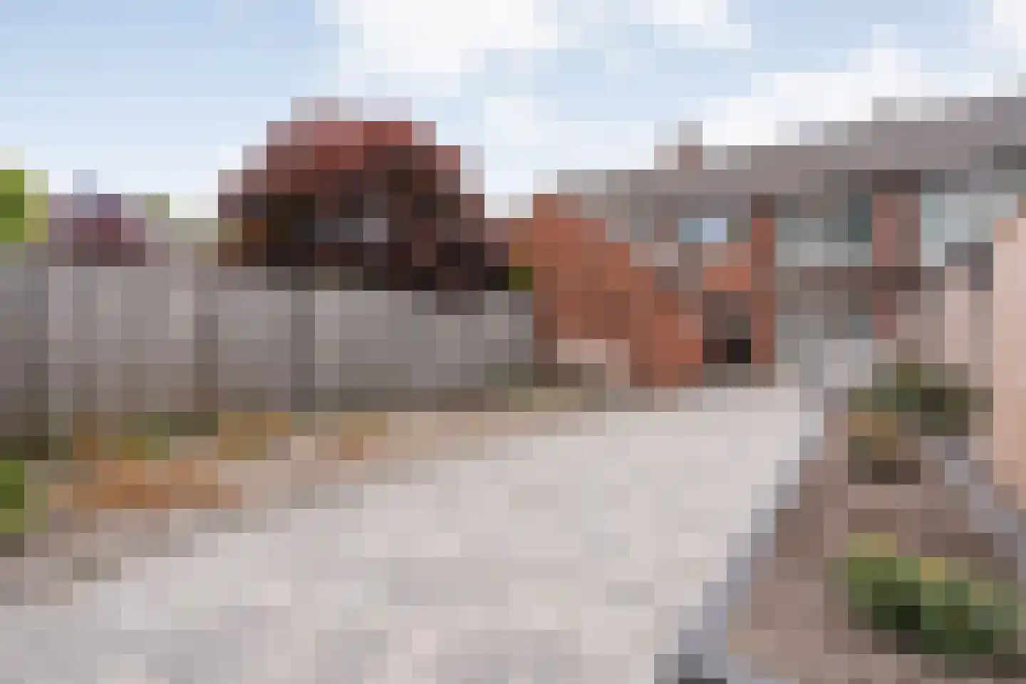 Laurens Alma Tademastraat 10 Almelo thumbnail 19