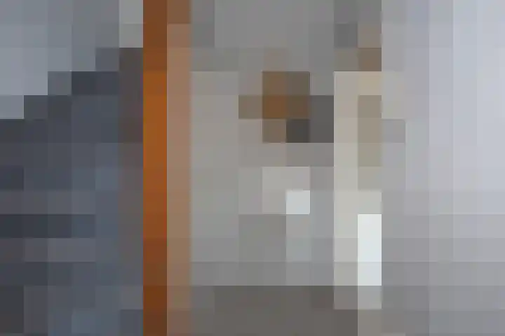Laurens Alma Tademastraat 9 Almelo thumbnail 9