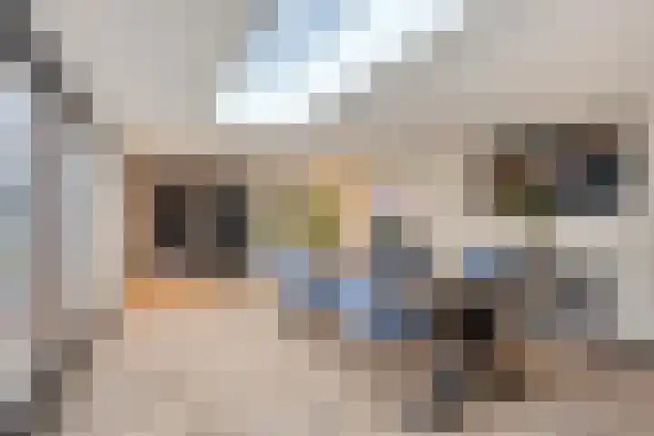 Laurens Baecklaan 10 Beverwijk thumbnail 12