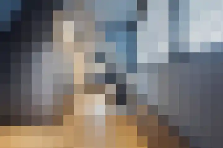 Laurens Baecklaan 10 Beverwijk thumbnail 17