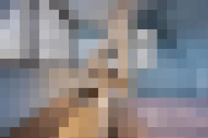 Laurens Baecklaan 10 Beverwijk thumbnail 20