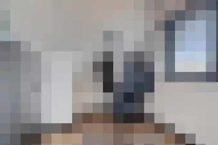 Laurens Baecklaan 10 Beverwijk thumbnail 26