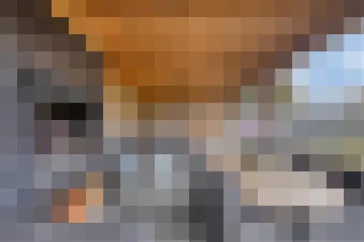 Laurens Baecklaan 10 Beverwijk thumbnail 31