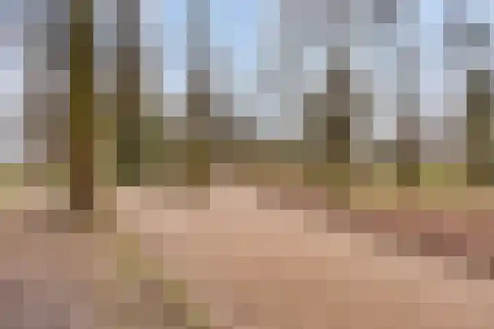 Laurens Baecklaan 10 Beverwijk thumbnail 42