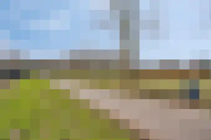 Laurens Baecklaan 10 Beverwijk thumbnail 43