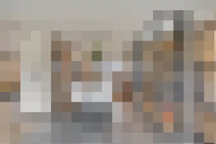 Laurens Baecklaan 10 Beverwijk thumbnail 7