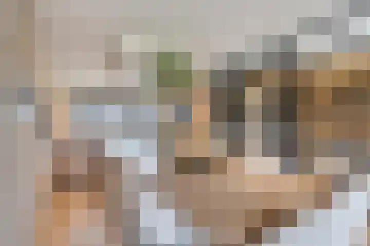 Laurens Baecklaan 10 Beverwijk thumbnail 8